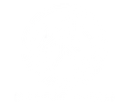 nordicbirch